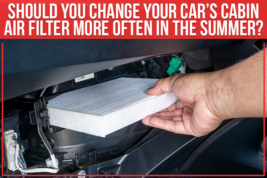 Everything You Need to Know About Cabin Air Filters